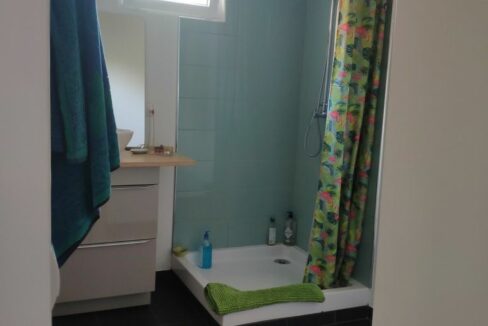 Immo-nantes-maison-atypique-jardin-70m²-zola-nantes (3)