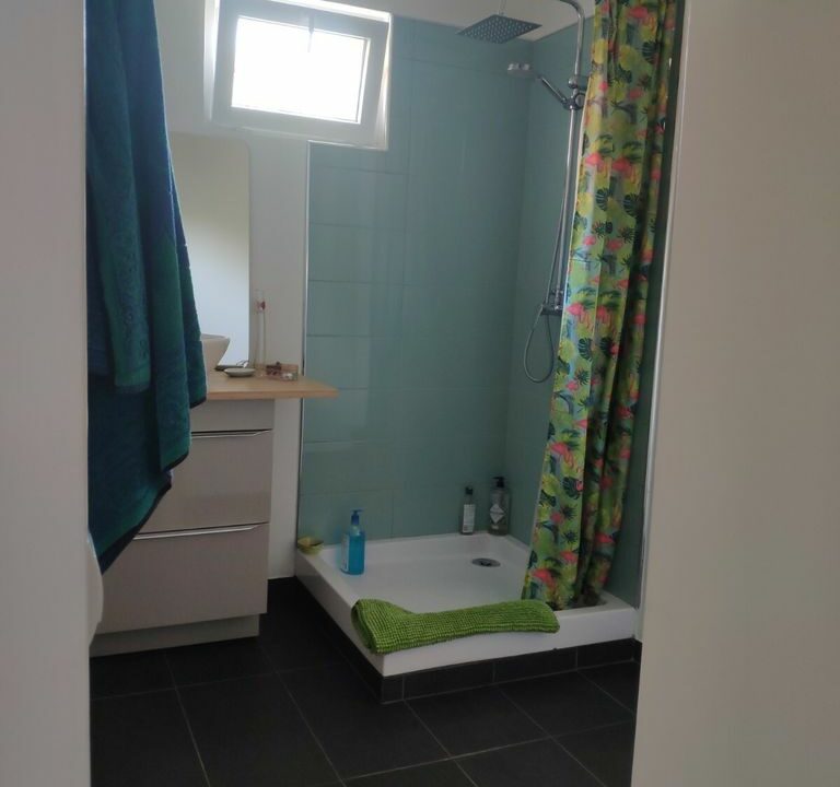 Immo-nantes-maison-atypique-jardin-70m²-zola-nantes (3)