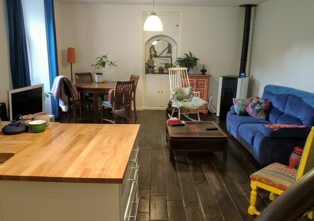 Immo-nantes-maison-atypique-jardin-70m²-zola-nantes (8)