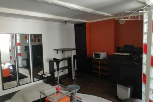 agence-immo-nantes-studio-25m²-place-viarme-nantes (2)
