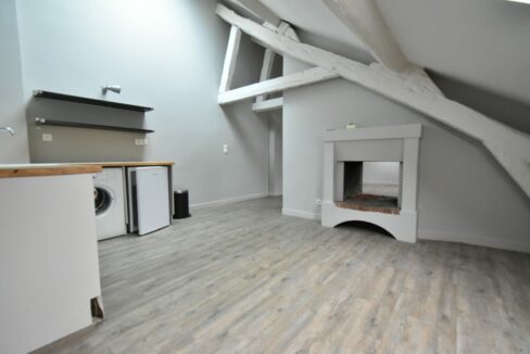 appartemment-nantes-1853 (1)