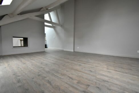 appartemment-nantes-1853 (3)