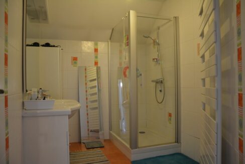 b-IMMO NANTES 7 PIÈCES 195 M² 625 M² MONNIÈRES, MAISON FAMILIALE (6)