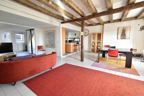 b-IMMO NANTES APPARTEMENT DUPLEX 7 PIÈCES 192M² NANTES MÉDIATHÈQUE-GLORIETTE (10)