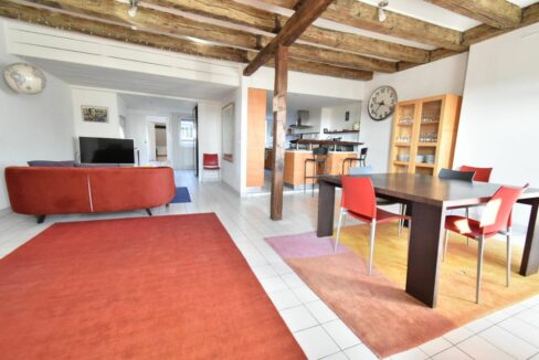 b-IMMO NANTES APPARTEMENT DUPLEX 7 PIÈCES 192M² NANTES MÉDIATHÈQUE-GLORIETTE (3)