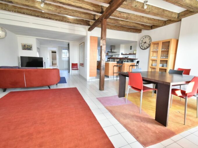 b-IMMO NANTES APPARTEMENT DUPLEX 7 PIÈCES 192M² NANTES MÉDIATHÈQUE-GLORIETTE (2)