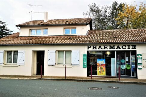 b-IMMO NANTES MAISON 7 PIÈCES 170M² SUR 658M² AVEC SOUS-SOL ET LOCAL COMMERCIAL AU COEUR D'YZERNAY (9)