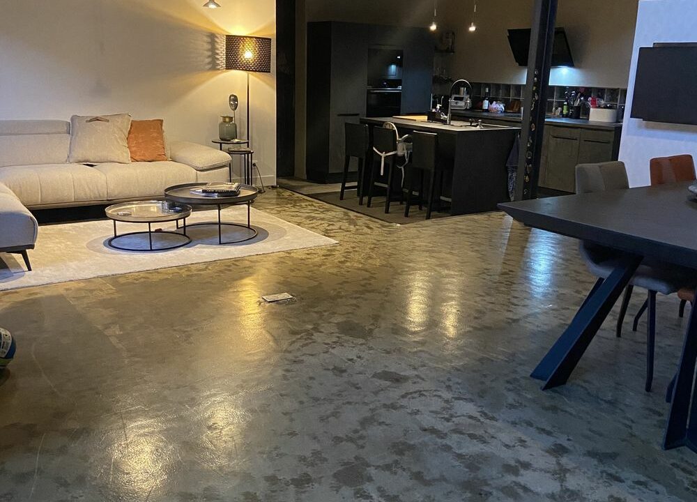 b-immo-nantes-monieres-7pieces-loft(28)