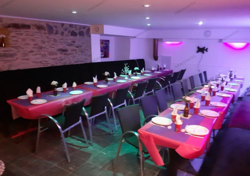 IMMO NANTES BAR BRASSERIE 150M² - ILE DE NANTES-min
