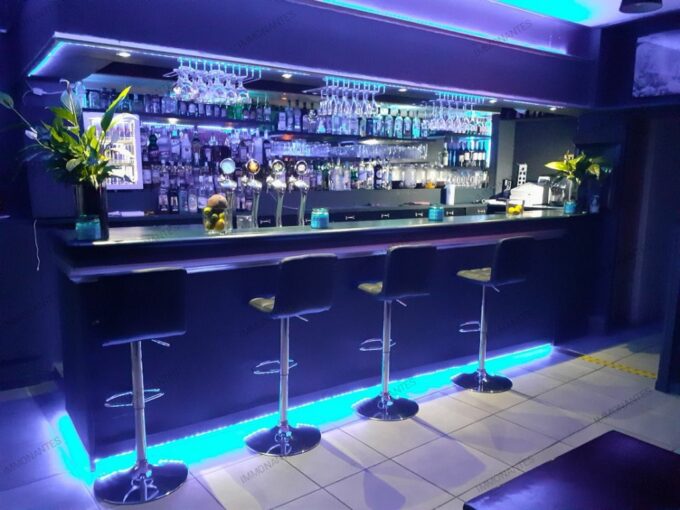 IMMO NANTES BAR BRASSERIE 150M² - ILE DE NANTES