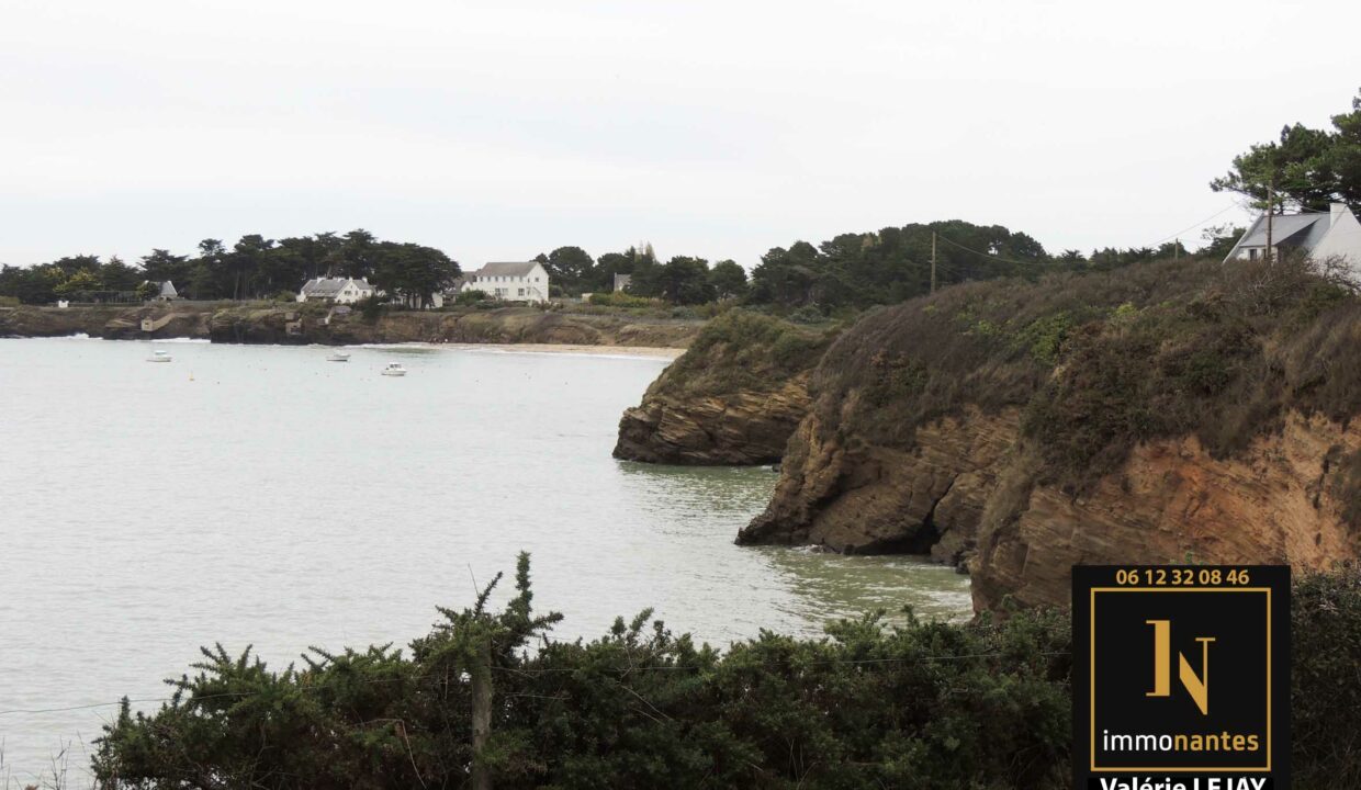 Valérie LEJAY - Agence IMMONANTES, tél. 06.12.32.08.46 ou par mail : v.lejay@agence-immonantes.fr Secteur Côte atlantique : La Tranche sur Mer , Noirmoutier, La Baule, Le Pouliguen, Pornichet,  Piriac sur Mer, Penestin ….. Spécialisée sur : Bien de caractère, bien de prestige, d’exception, maison contemporaine, moderne,  villa ou demeure bourgeoise, de maitre, château, manoir, hôtel particulier….   Je reste à votre disposition pour tout complément d'information ou demande de visite ou demande d'estimation...