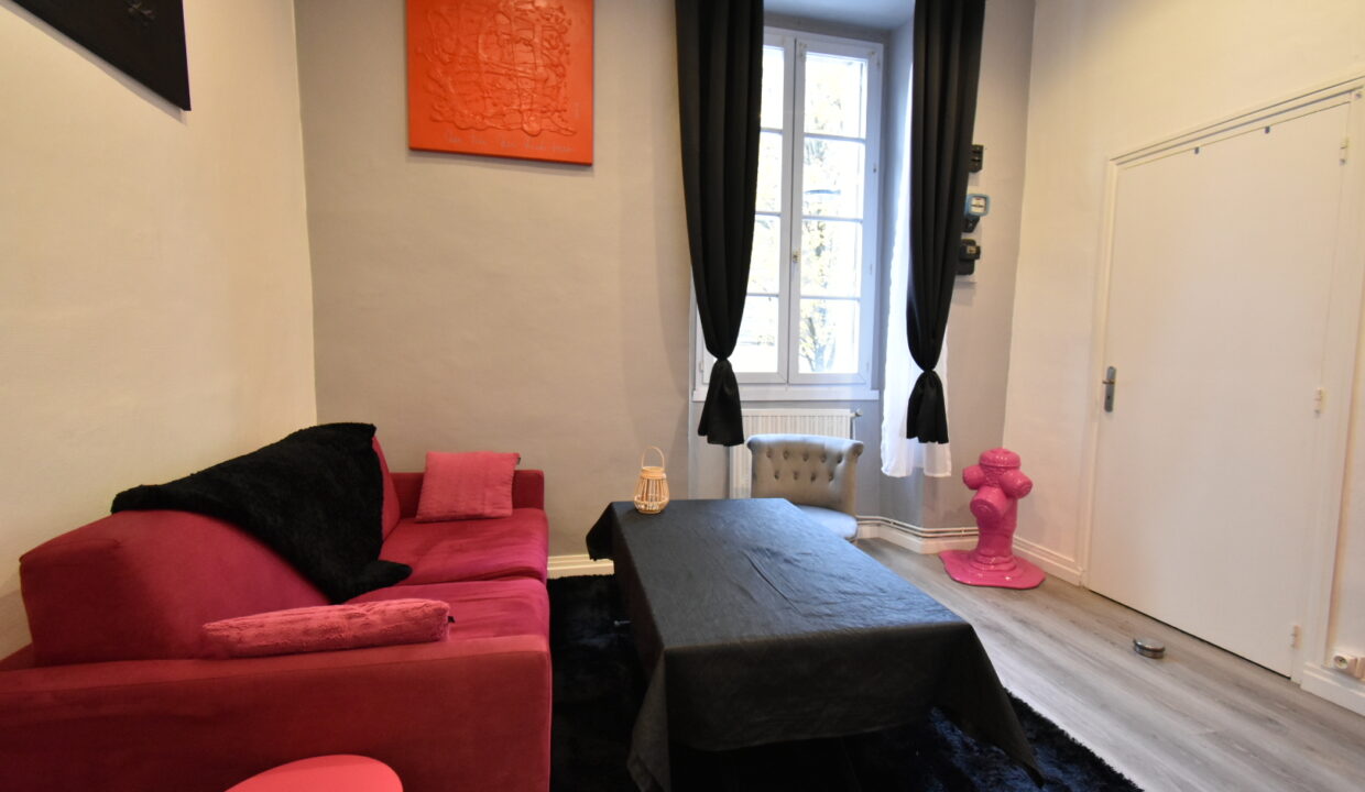 AGENCE IMMO NANTES APPARTEMENT T3 4 PIÈCES 114M² NANTES CENTRE - ROYALE