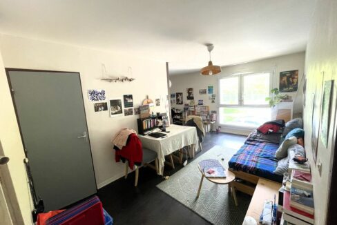 b-immo-1 pièce 52.6 m² Nantes Sud Proche Gare T2 52 m² (4)