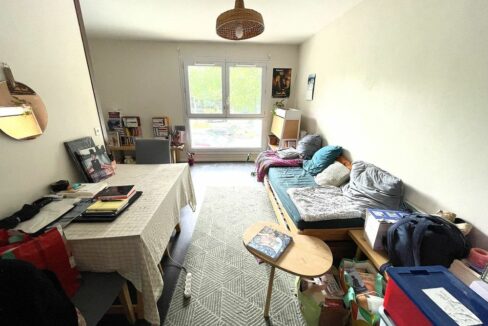 b-immo-2 pièce 52.6 m² Proche Gare T2 52 m², Nantes Sud (2)