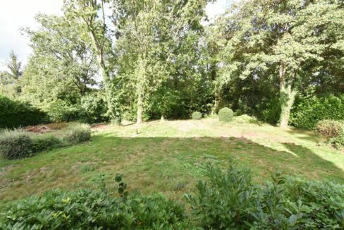b-immo-7 pièces 223.5 m² 3532 m² - Maison de 230 m2 à rénover sur terrain de 3500 m2, Orvault Petit-Chantilly (11)
