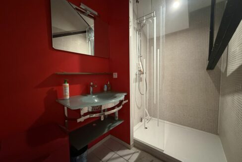 b-IMMO NANTES MAISON 204 M² 7 PIÈCES CENTRE-VILLE CHOLET (15)