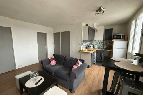 b-IMMO NANTES APPARTEMENT 50 M² 3 PIÈCES SAINT-PASQUIER NANTES (2)