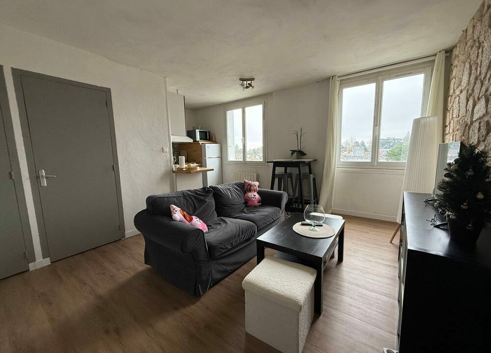 b-IMMO NANTES APPARTEMENT 50 M² 3 PIÈCES SAINT-PASQUIER NANTES (5)