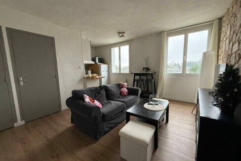 b-IMMO NANTES APPARTEMENT 50 M² 3 PIÈCES SAINT-PASQUIER NANTES (5)