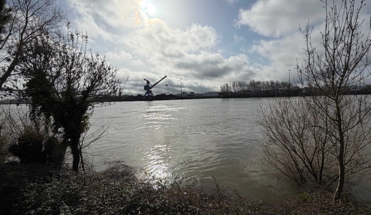 Saint-Herblain - Cheviré - Bureaux de 110 m2 vue sur Loire 6